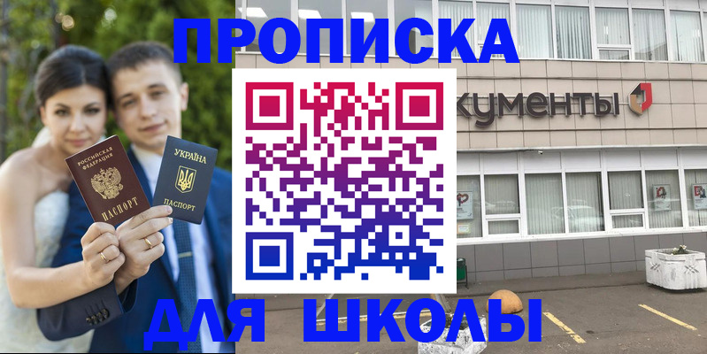 временная регистрация госуслуги в Малой Вишере